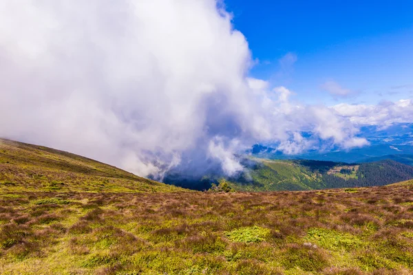 Sommarlandskap — Stockfoto