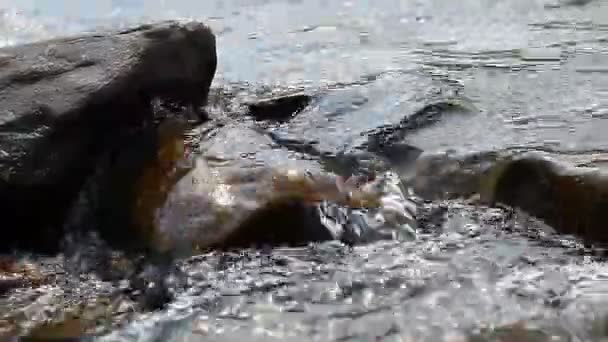 Чистая горная река — стоковое видео