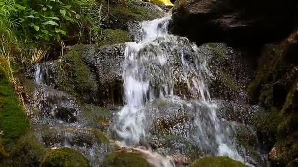 Vista de la cascada — Vídeo de stock