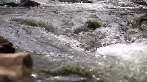 Ποταμός σαφείς ορεινοί ρέμα — Αρχείο Βίντεο