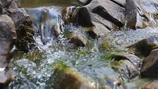 Чистая горная река — стоковое видео