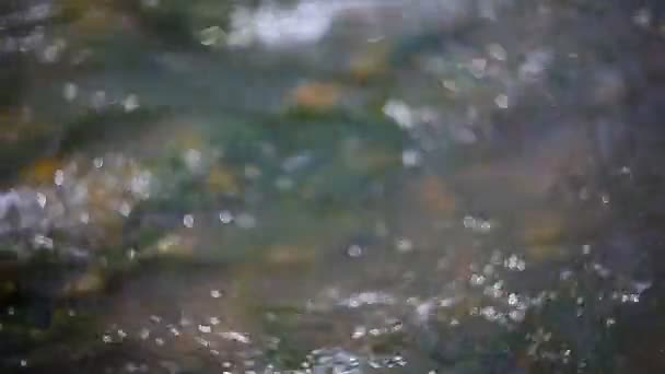 Струмок прозора гірська річка — стокове відео
