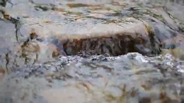Torrente limpido fiume di montagna — Video Stock
