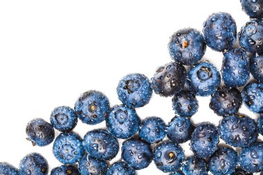 doğal taze yaban mersini portre