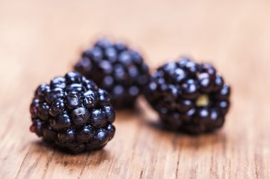 doğal taze blackberrys portre