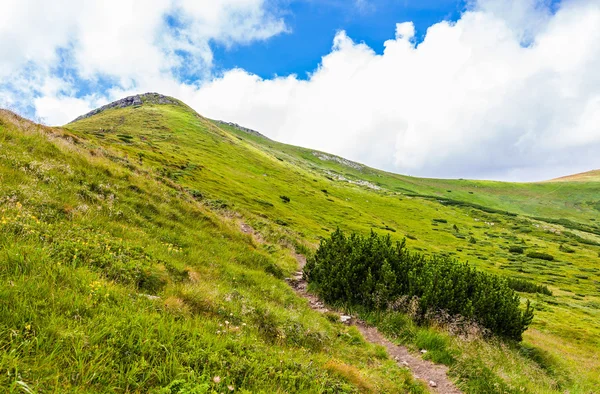 Paisagem montesa — Fotografia de Stock