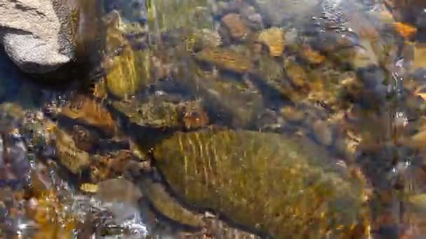 Arroyo claro montaña río — Vídeo de stock