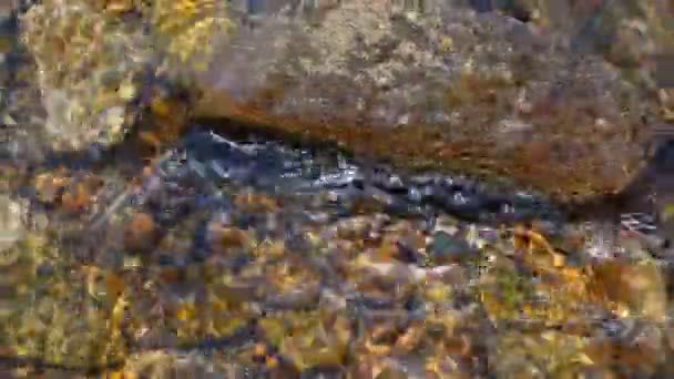 Струмок прозора гірська річка — стокове відео