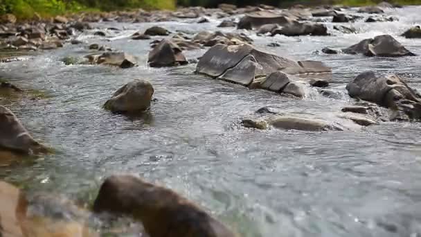 Rio de montanha claro — Vídeo de Stock