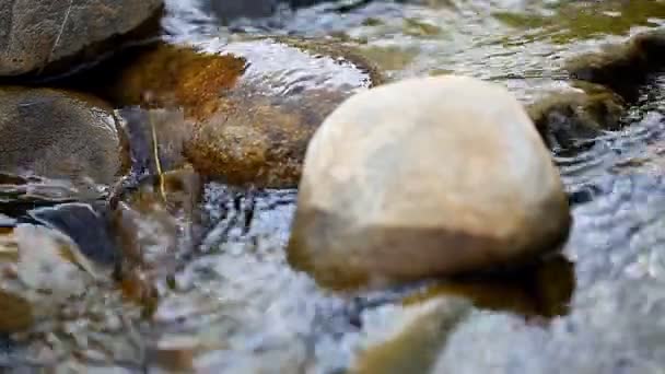 Berrak dağ nehri — Stok video