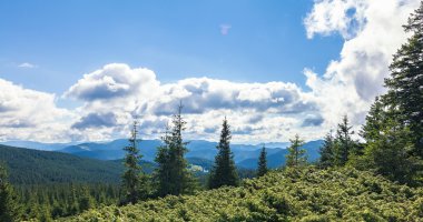 Goverla dağın görüntülemek