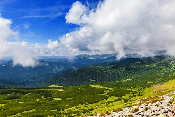 Paisagem verão — Fotografia de Stock