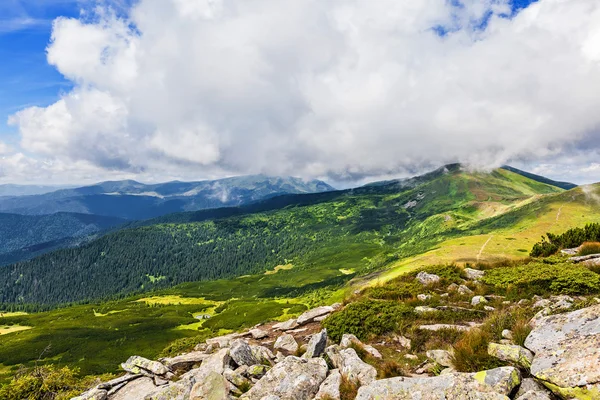 Paisagem verão — Fotografia de Stock