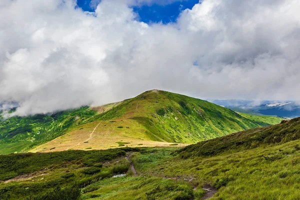 Sommerlandschaft — Stockfoto