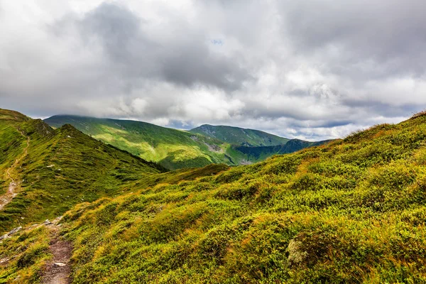 Paisagem verão — Fotografia de Stock