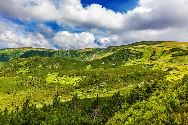 Paisagem verão — Fotografia de Stock