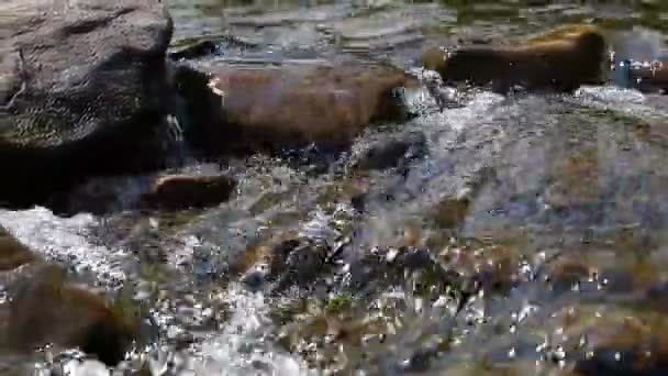 Córrego rio de montanha claro — Vídeo de Stock