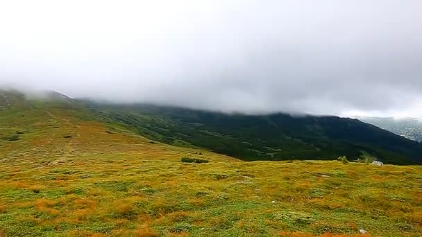 Uitzicht vanaf de top van de Karpaten — Stockvideo