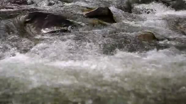 清澈的山间小溪河 — 图库视频影像