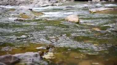 Akış açık dağ nehir