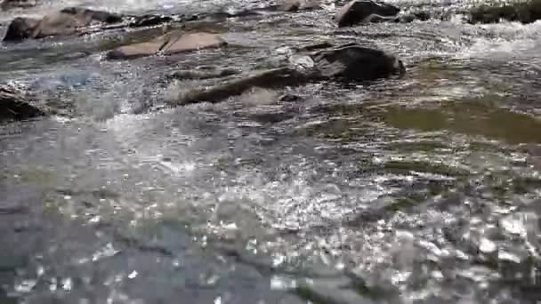 Stream clear mountain river — Stock Video