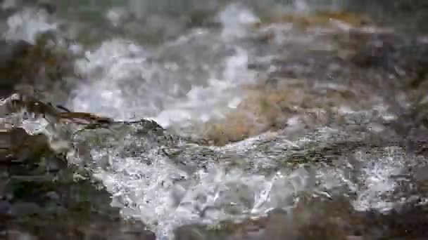 Akış açık dağ nehir — Stok video