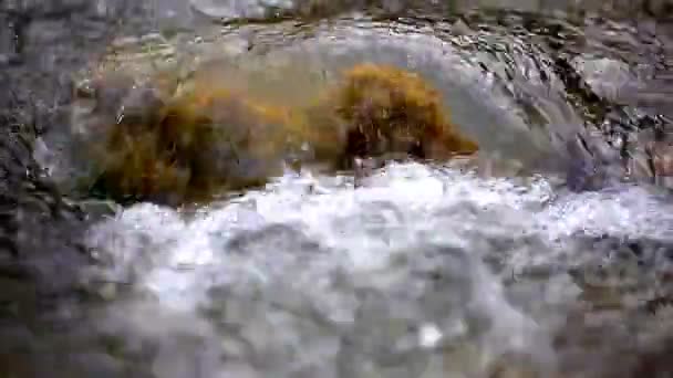 Torrente limpido fiume di montagna — Video Stock