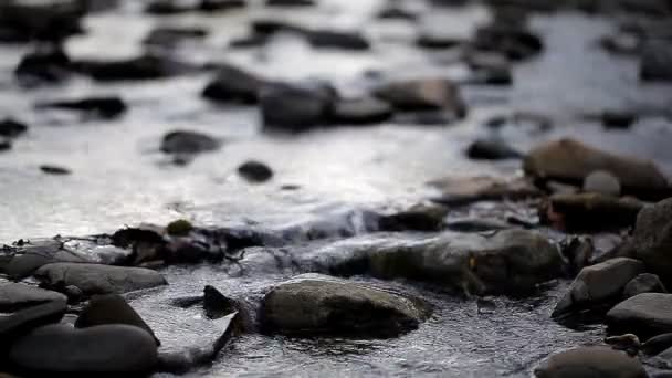 Torrente limpido fiume di montagna — Video Stock