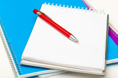 kalem ve defter portre