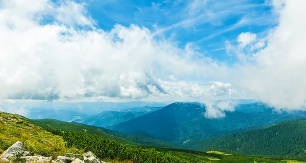 Paisagem verão — Fotografia de Stock