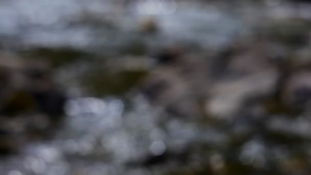 스트림 맑은 산 강 — 비디오