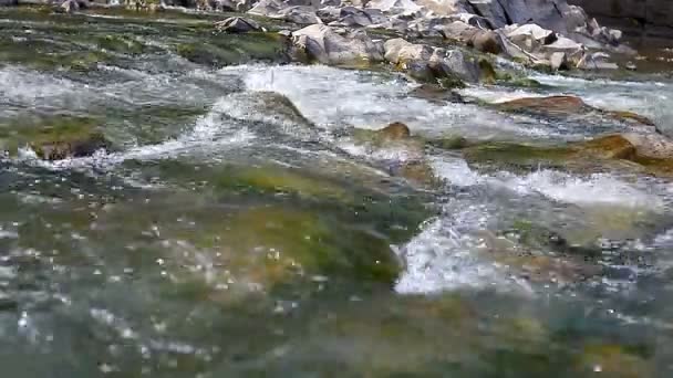 清澈的山间小溪河 — 图库视频影像