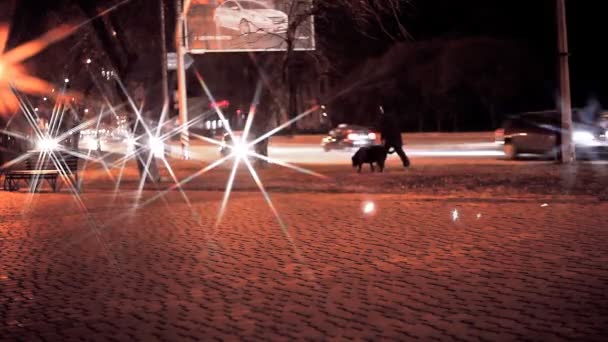 Mujer caminando con un perro — Vídeo de stock