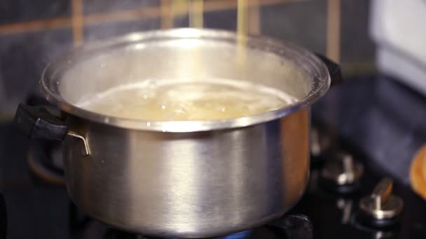 Uncooked pasta thrown — Stock Video