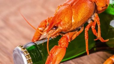 Bira ve pişmiş gıda kanser