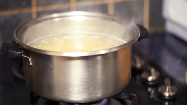 Bir tencerede makarna pişirmek — Stok video