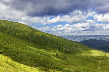 Karpatlar manzarada yaz