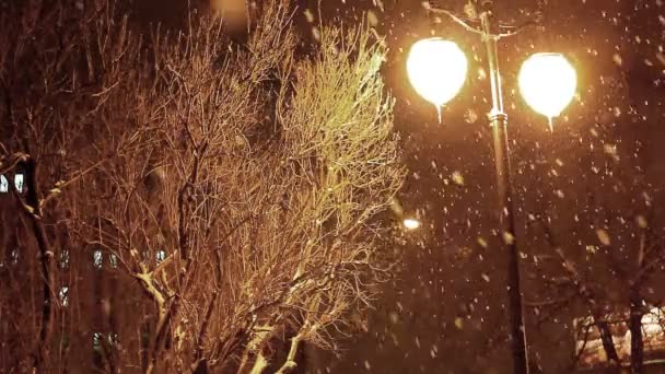 Winternacht mit Schneefall — Stockvideo