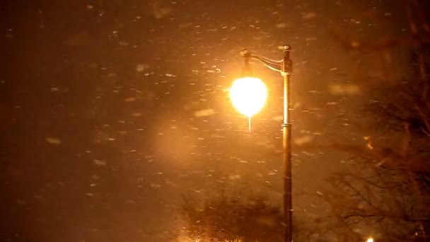 Снежная зимняя ночь — стоковое видео