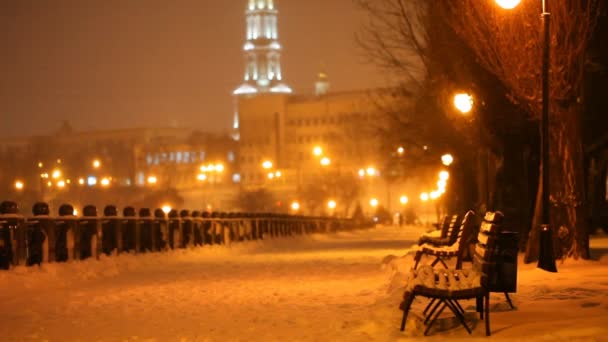 Winterabend im Stadtpark — Stockvideo