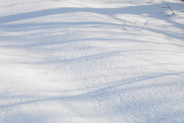 Terra innevata primo piano giornata invernale — Foto Stock