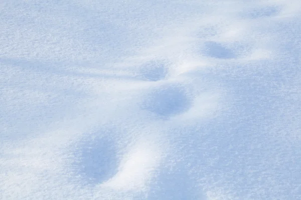 Snow-covered land closeup winter day — Stock Photo, Image