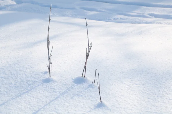 Terra innevata primo piano giornata invernale — Foto Stock