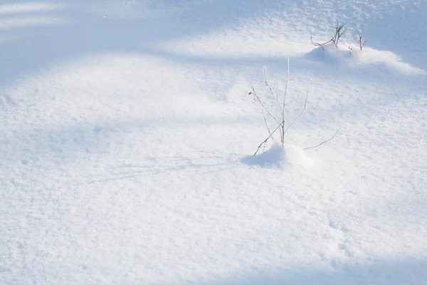 Terra innevata primo piano giornata invernale — Foto Stock