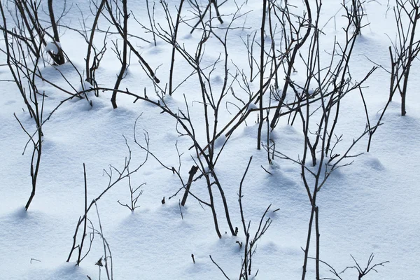 Terra innevata primo piano giornata invernale — Foto Stock