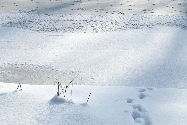 Terra innevata primo piano giornata invernale — Foto Stock