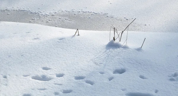 Neige couvert terre gros plan journée d'hiver — Photo