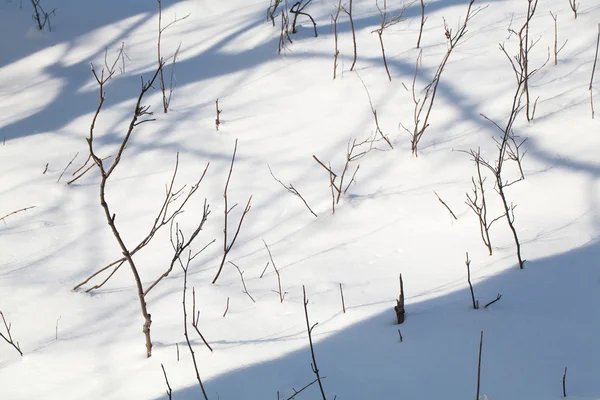 Terra innevata primo piano giornata invernale — Foto Stock