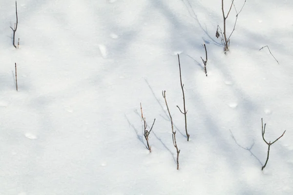 Terra innevata primo piano giornata invernale — Foto Stock