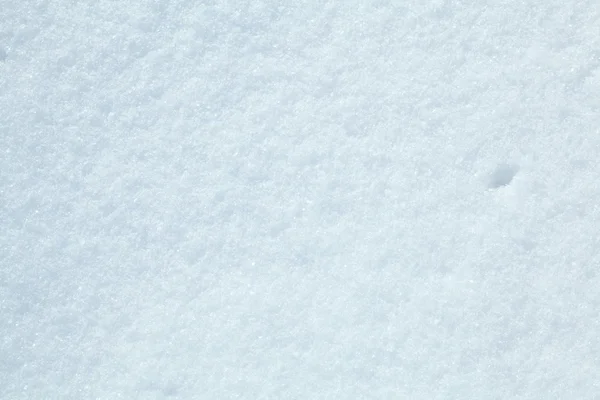 Nieve cubierta de tierra primer plano día de invierno — Foto de Stock